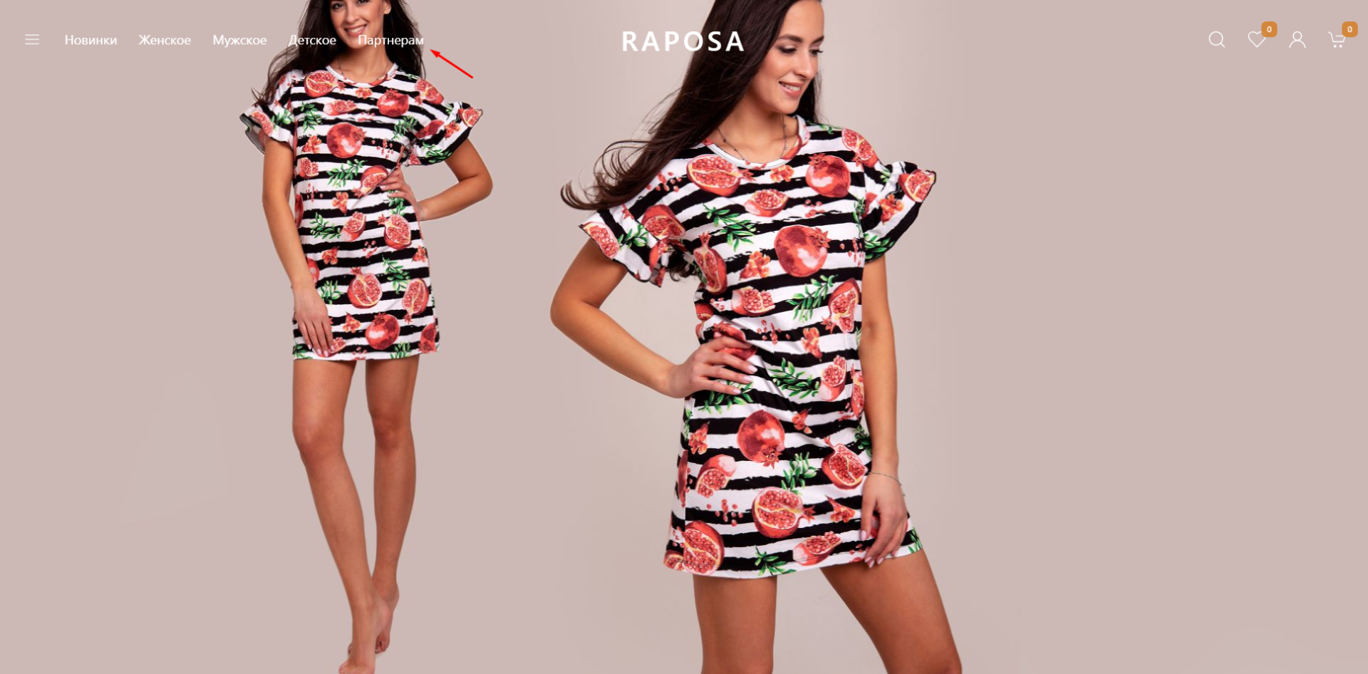 Инструкция как стать партнером